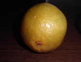 LARANJA
