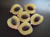 PÊSSEGO